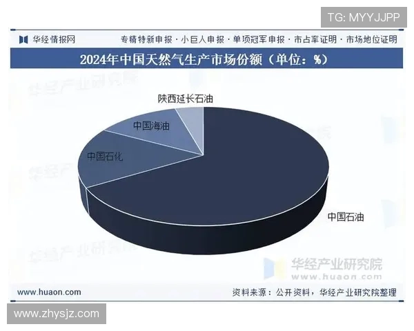 独家深度解析全球LNG市场竞争格局与实力对比分析